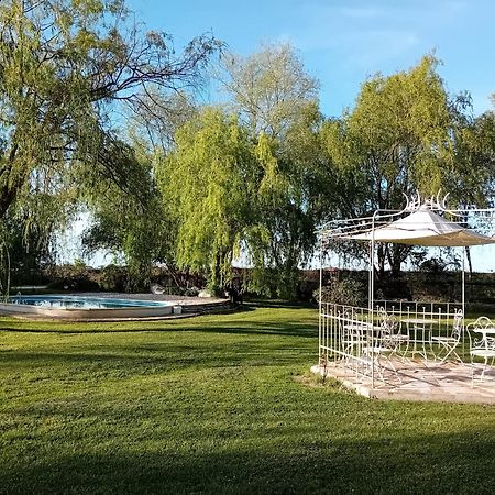 Antico Casale Dei Sogni Agriturismo Lugo  Zewnętrze zdjęcie