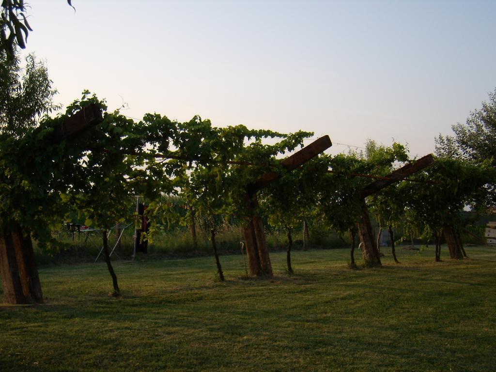 Antico Casale Dei Sogni Agriturismo Lugo  Zewnętrze zdjęcie