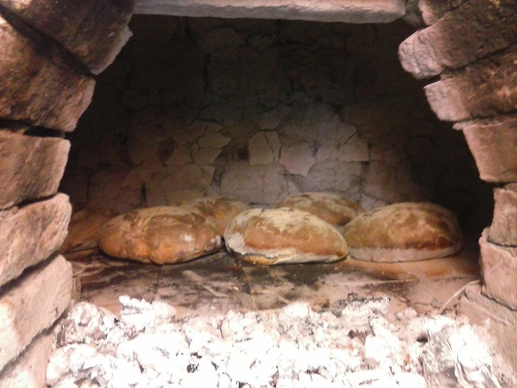 Antico Casale Dei Sogni Agriturismo Lugo  Zewnętrze zdjęcie