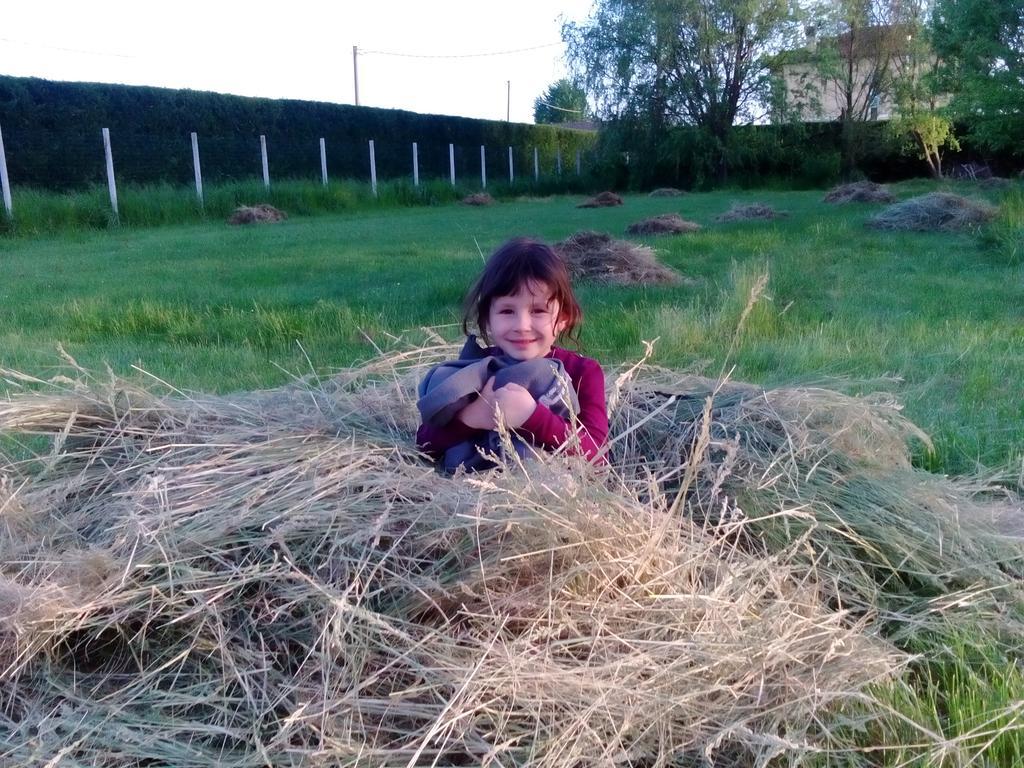 Antico Casale Dei Sogni Agriturismo Lugo  Zewnętrze zdjęcie