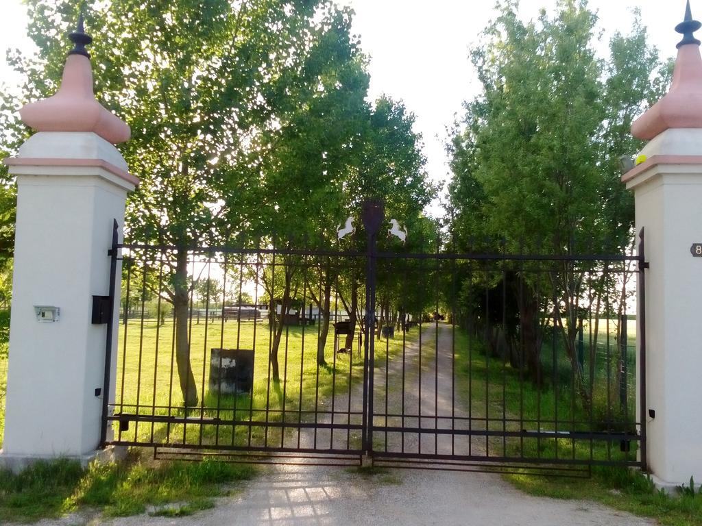 Antico Casale Dei Sogni Agriturismo Lugo  Zewnętrze zdjęcie