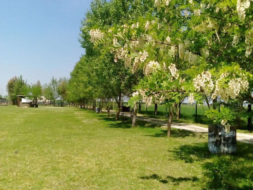Antico Casale Dei Sogni Agriturismo Lugo  Zewnętrze zdjęcie